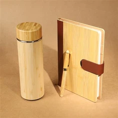 Luxus -Tagebuch und Stiftset